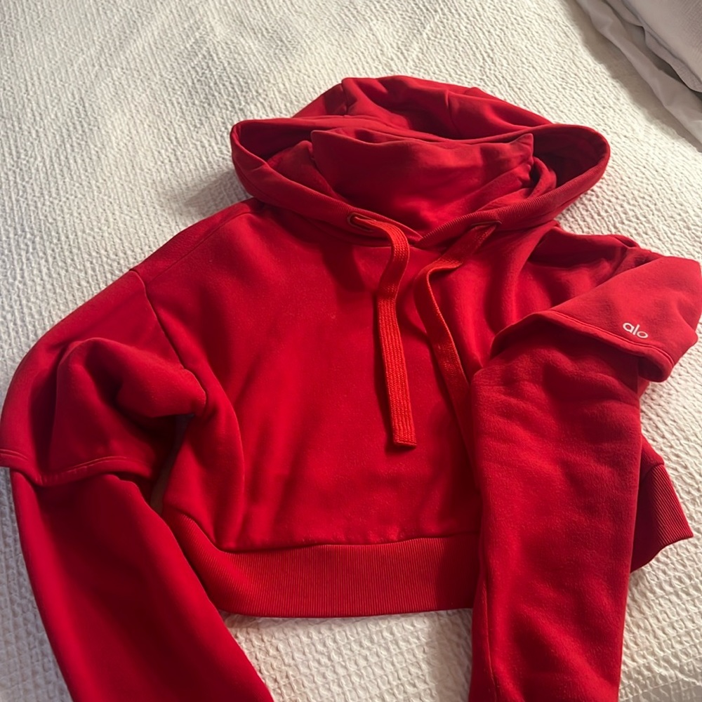 Alo Cropped Hoodie